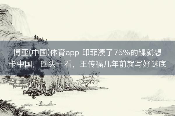 博亚(中国)体育app 印菲凑了75%的镍就想卡中国，回头一看，王传福几年前就写好谜底
