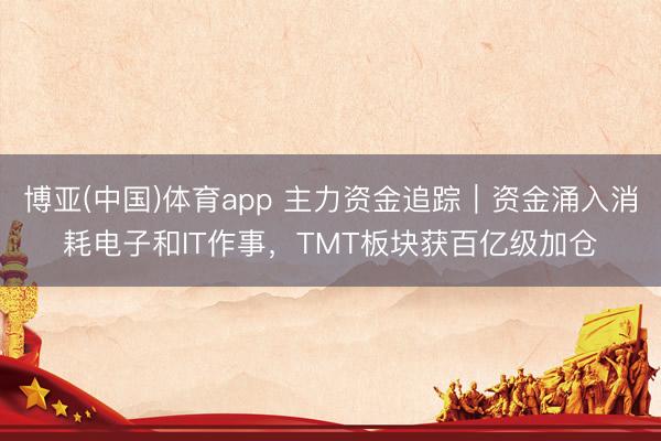博亚(中国)体育app 主力资金追踪｜资金涌入消耗电子和IT作事，TMT板块获百亿级加仓