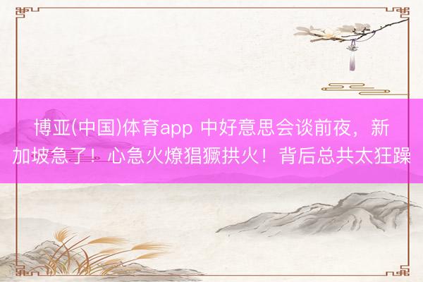 博亚(中国)体育app 中好意思会谈前夜，新加坡急了！心急火燎猖獗拱火！背后总共太狂躁
