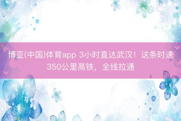 博亚(中国)体育app 3小时直达武汉！这条时速350公里高铁，全线拉通