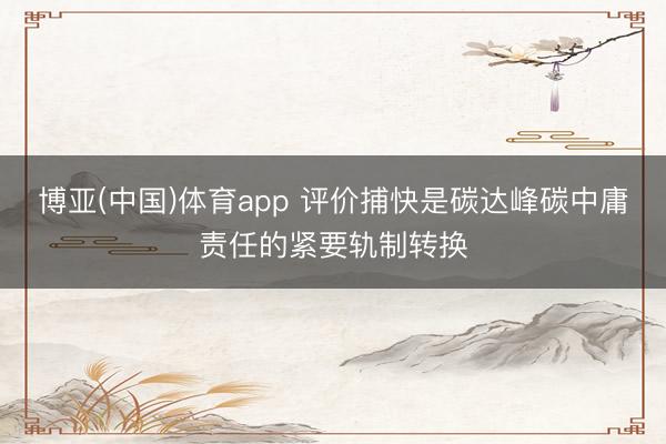 博亚(中国)体育app 评价捕快是碳达峰碳中庸责任的紧要轨制转换