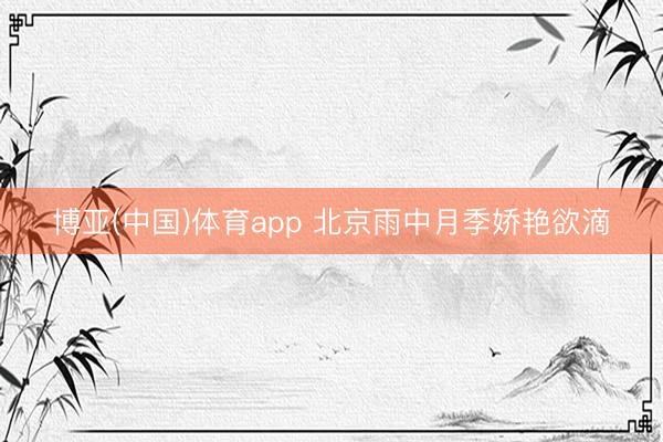 博亚(中国)体育app 北京雨中月季娇艳欲滴