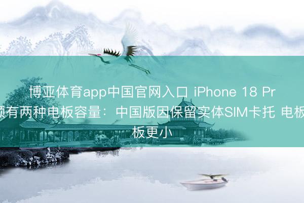 博亚体育app中国官网入口 iPhone 18 Pro或领有两种电板容量：中国版因保留实体SIM卡托 电板更小