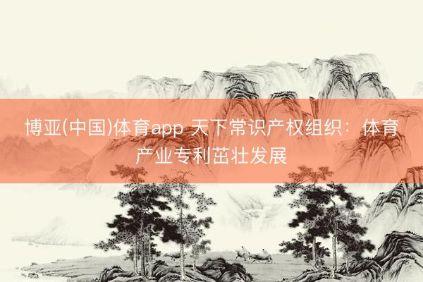 博亚(中国)体育app 天下常识产权组织：体育产业专利茁壮发展