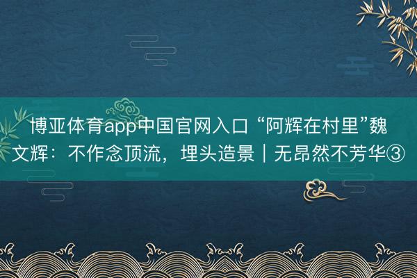 博亚体育app中国官网入口 “阿辉在村里”魏文辉：不作念顶流，埋头造景｜无昂然不芳华③