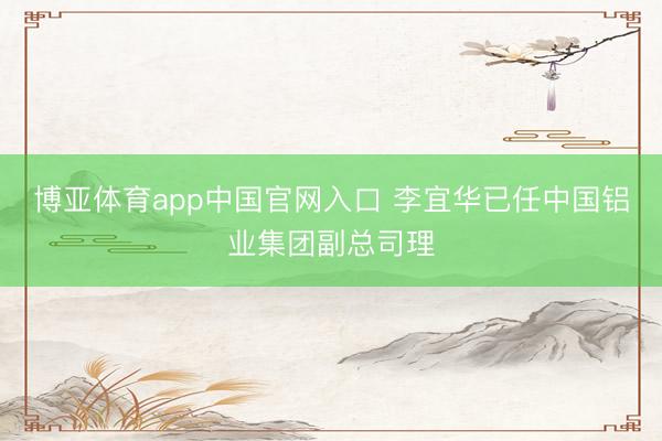 博亚体育app中国官网入口 李宜华已任中国铝业集团副总司理
