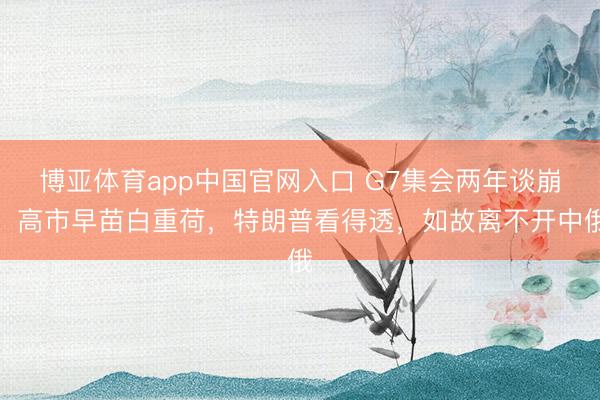 博亚体育app中国官网入口 G7集会两年谈崩，高市早苗白重荷，特朗普看得透，如故离不开中俄